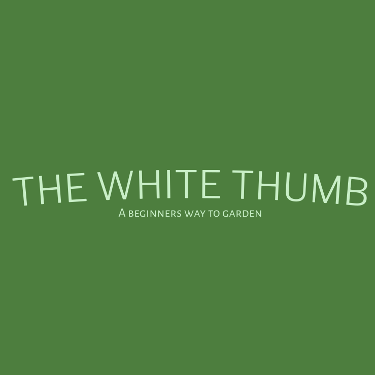 The White Thumb